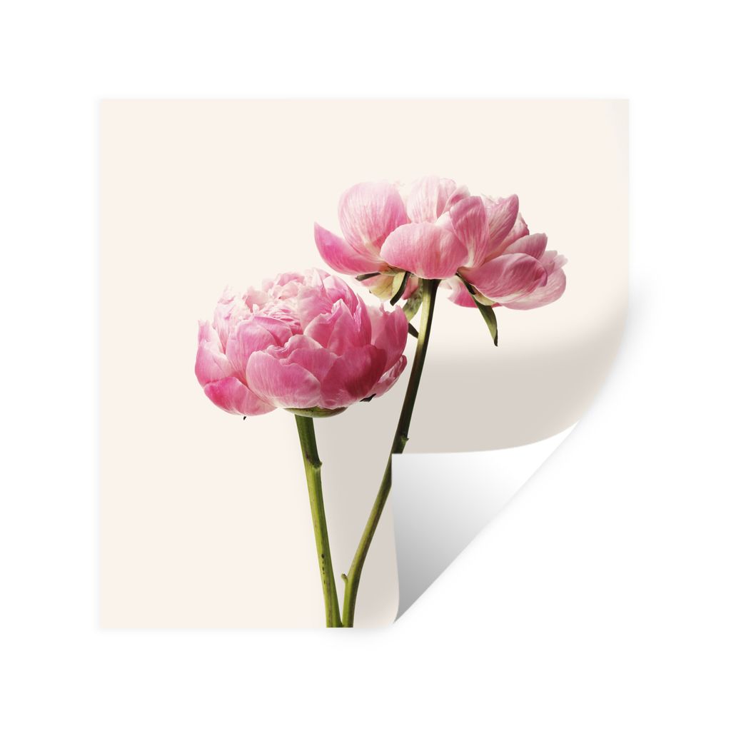 MuchoWow Wandtattoo Wandsticker Wandaufkleber Blumen - Blüte - Rosa 30x30 cm Selbstklebend und Repositionierbar - Repositionierbar - Wasser abwe...