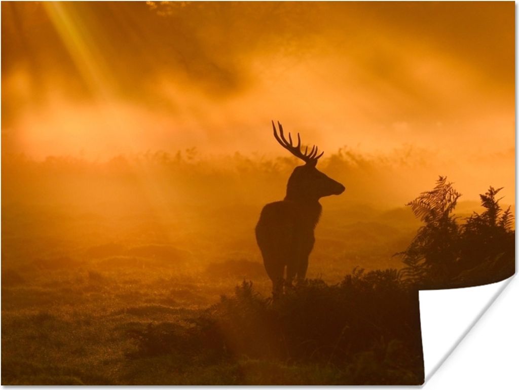 MuchoWow Poster Silhouette eines Rehs mit Sonnenstrahlen 120x90 cm - Wandbild