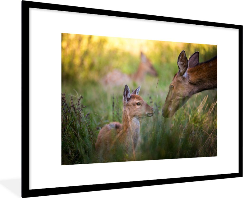 MuchoWow MuchoWow Gerahmtes Poster Hirsche - Gras - Wald 90x60 cm - Poster mit zchwarzem Bilderrahmen - Wanddekoration - Fotos