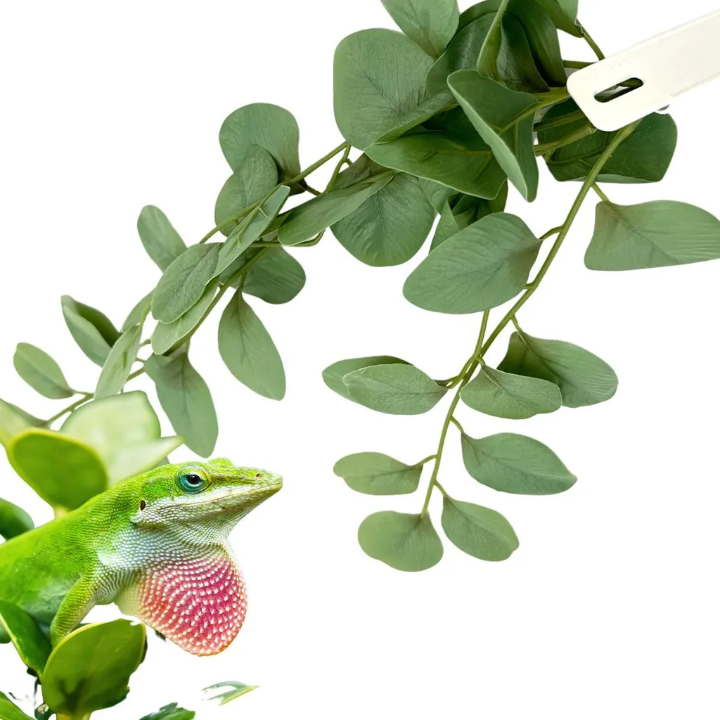 Plante de Terrarium Artificielle Fitonia BioBush Sans Entretien