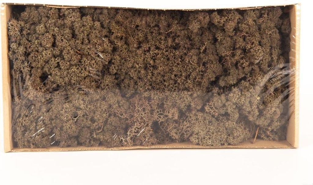 INNA-Glas Dekoratives Moos SVEINBJÖRN, braun, 500g - Echtes Isländisches Moos
