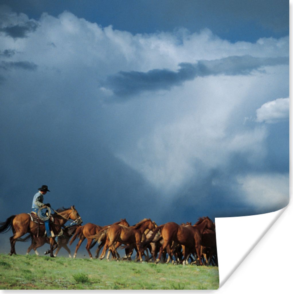 MuchoWow Poster Pferde - Cowboy - Luft 30x30 cm - Wandposter - Printing