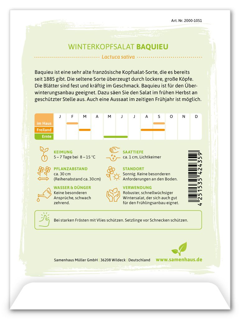 Winterkopfsalat Baquieu | Kopfsalatsamen von FLORTUS