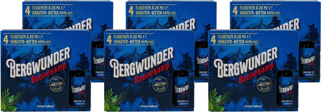 Bergwunder Boonekamp Kräuterbitter (80 x 0,02L)