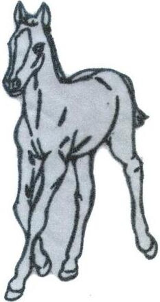 Aufnäher - Pferd Fohlen - 00913 - Gr. ca. 6,5 x 5 cm - Patches Stick Applikation