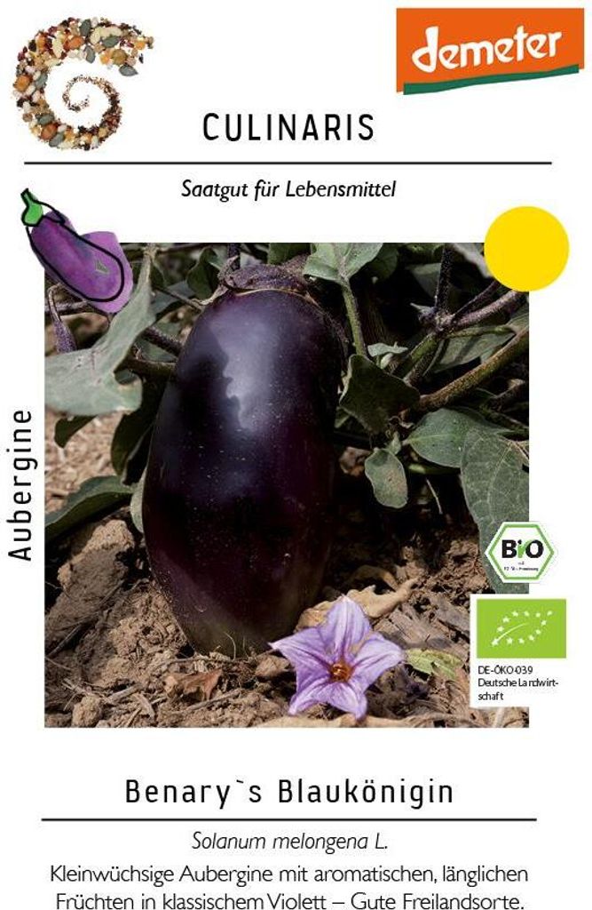 Benary ́s Blaukönigin Aubergine