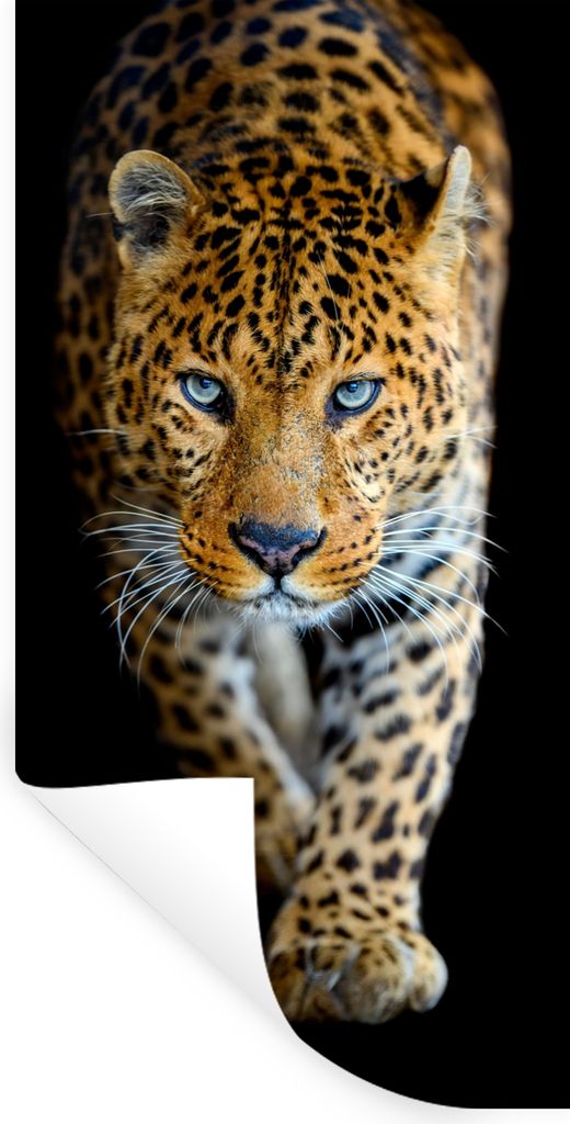 MuchoWow Wandtattoo Wandsticker Wandaufkleber Leopard - Tiere - Porträt - Wildtiere - Schwarz 80x160 cm Selbstklebend und Repositionierbar - Sti...