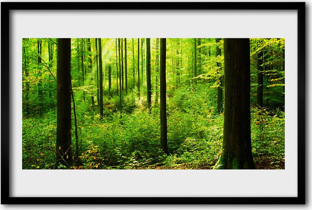 Bild 60x40 MDF-Rahmen Wandkunst Grüner Wald Bäume Natur Produktbild 