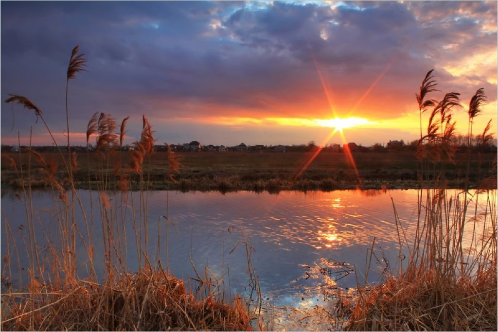 Wallario selbstklebendes Poster - Sonnenuntergang über dem Fluss, Gräser im Wind, Größe: 100 x 150 cm