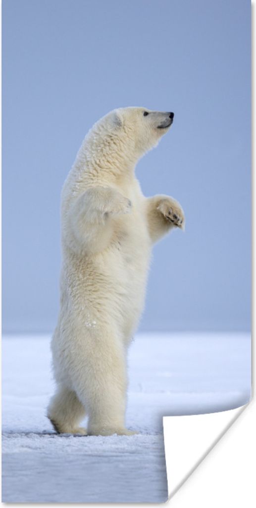 MuchoWow Poster Eisbär - Lustig - Schnee - Kinder - Jungen - Mädchen - Kind 80x160 cm - Kinderzimmer