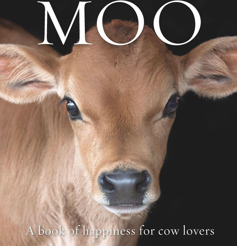 Moo – Lingua: Inglese