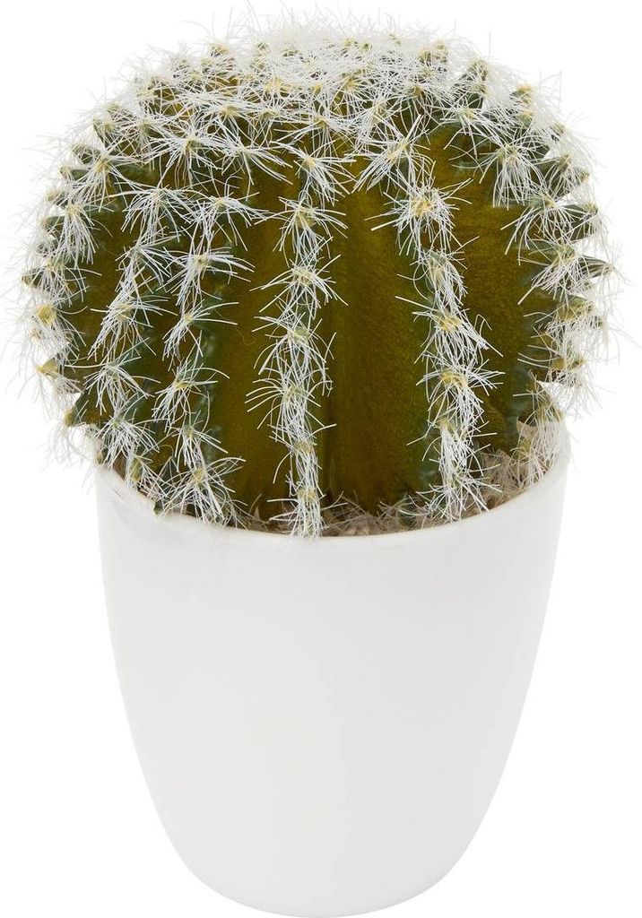 Sukkulente & kaktuspflanze h18cm - Atmosphera créateur d'intérieur