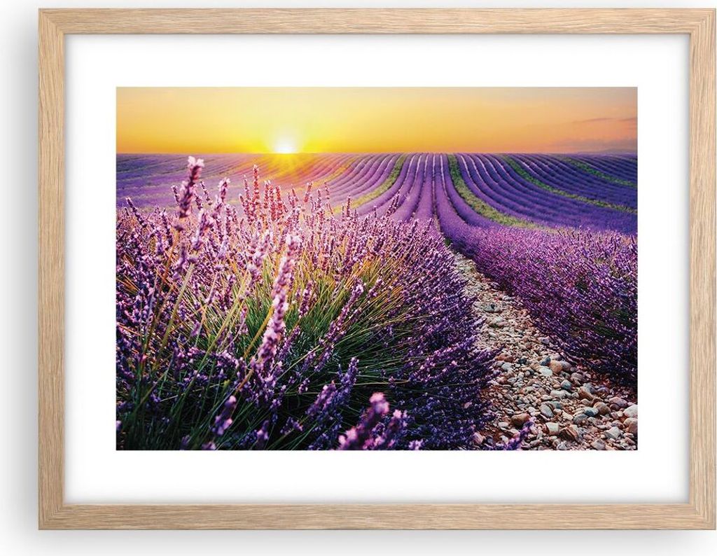 Gerahmtes Poster - Rahmen in heller Eiche - Feld Lavendel Sonne - 40x30 cm - Wand Bild - Wanddeko - Wandbilder - Kunstposter - Wandposter - Bilderr...