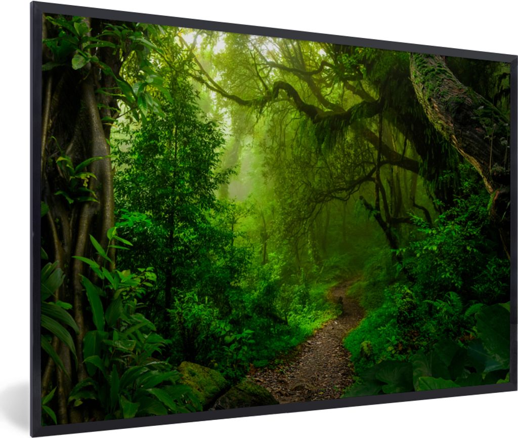 MuchoWow Gerahmtes Poster Landschaft - Dschungel - Tropisch - Sonne - Grün 30x20 cm - Poster mit Schwarzem Bilderrahmen Wandposter Rahmen Foto B...