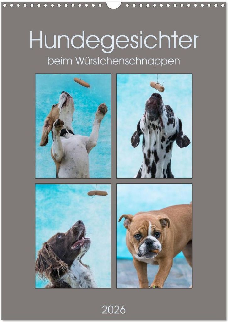 Hundegesichter beim Würstchenschnappen (Wandkalender 2026 DIN A3 hoch), CALVENDO Monatskalender