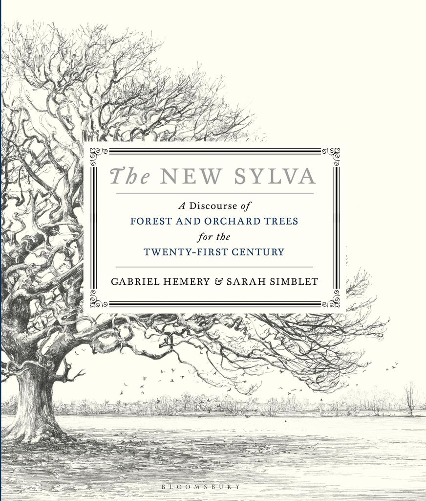 New Sylva – Lingua: Inglese