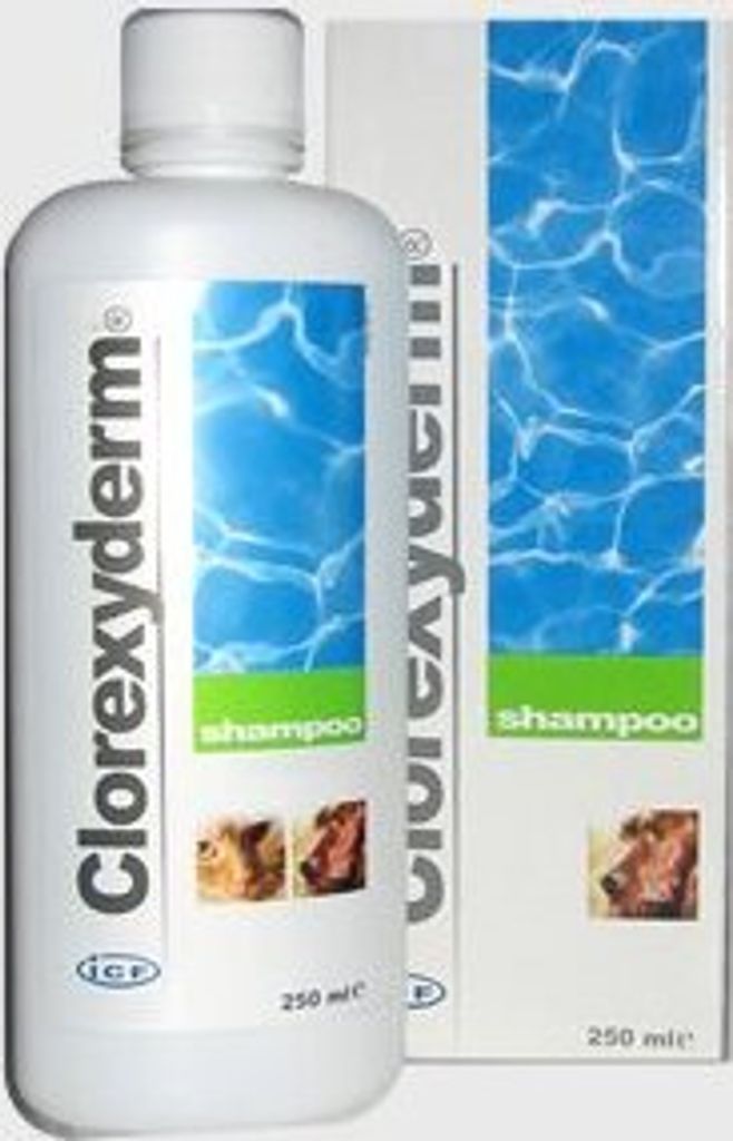 A bottle of Clorexyderm Shampoo and its packaging are shown against a white background.