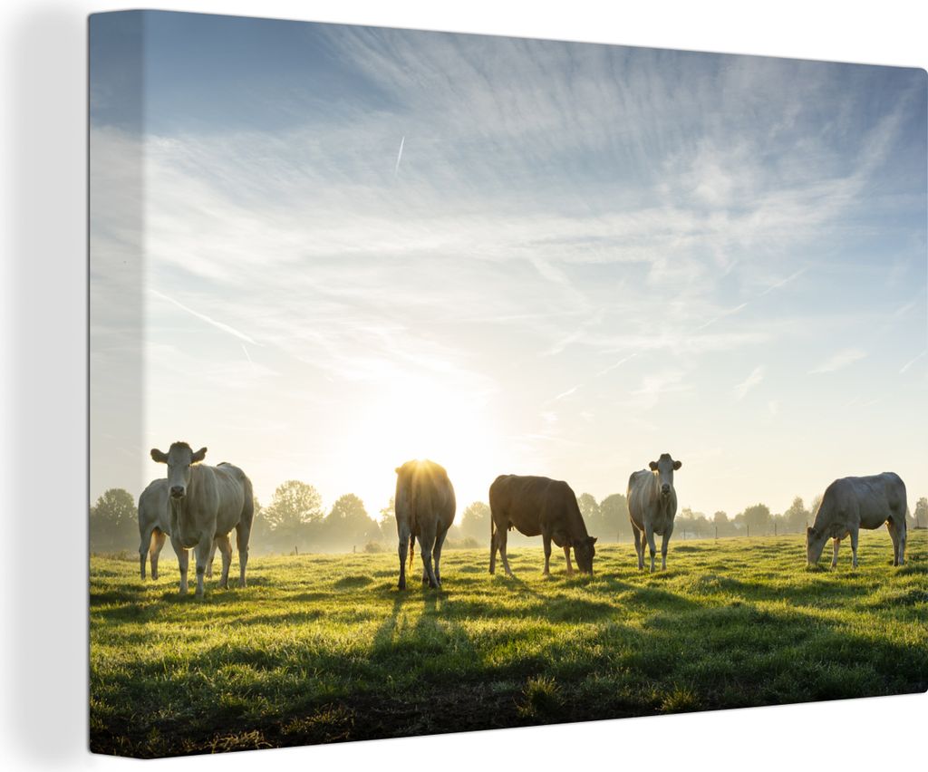 OneMillionCanvasses - Leinwandbilder - 140x90 cm, Kühe - Sonne - Gras, Wandbilder Kunstdruck Wanddekoration - Foto auf Leinwand - Gemälde auf H...