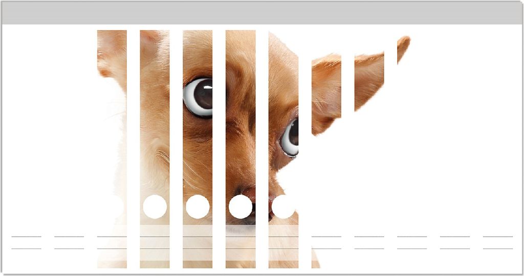 Wallario Ordnerrücken Sticker, selbstklebend für schmale Ordner, 12 Stück, Motiv Lustiger Hund mit fliegenden Ohren