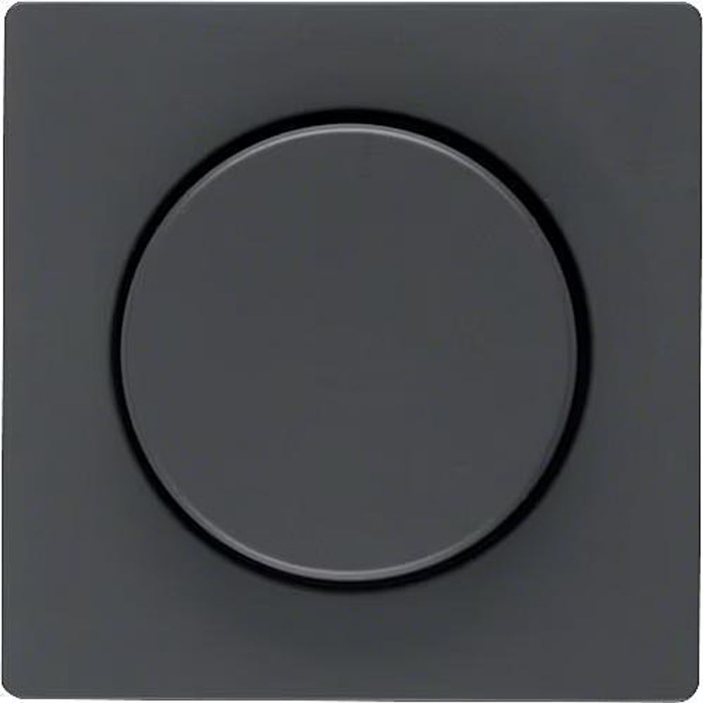 Berker Q.X ZENTRALSTÜCK F. DREHDIMME (11376086)