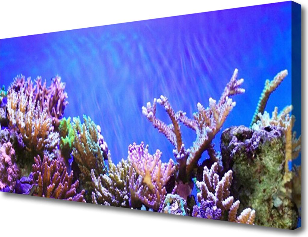 Tulup Leinwand-Bilder 100x50 Wandbild Canvas Kunstdruck Korallenriff Natur