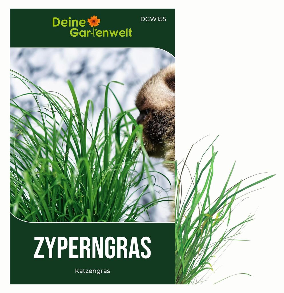 Zyperngras Katzengras Samen - Cyperus zumula - Produktbild 