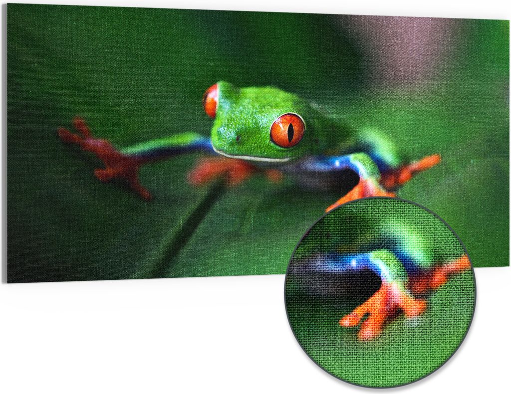 DEQORI Hybrid Leinwand Bild 100x50 cm 'Grüner Frosch im Laub' Wandbild Glas flach modern
