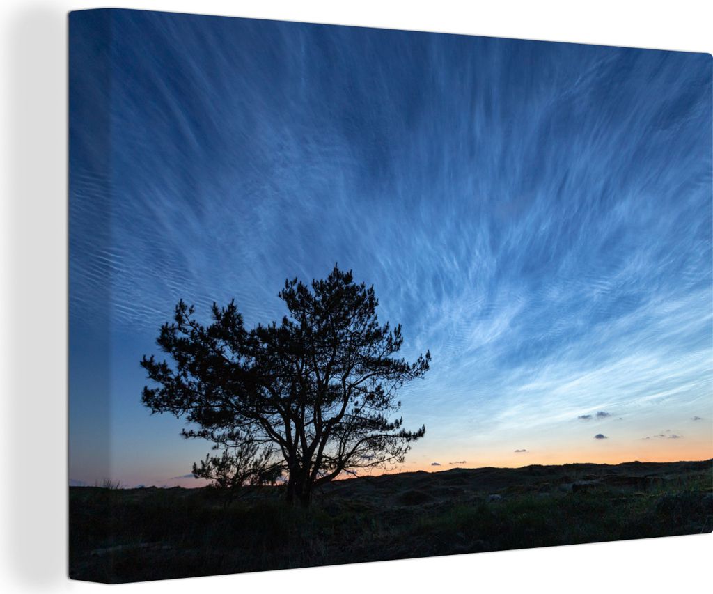 OneMillionCanvasses - Leinwandbilder - 140x90 cm, Sonnenaufgang über Ameland und die Silhouette eines Baumes, Wandbilder Kunstdruck Wanddekoration