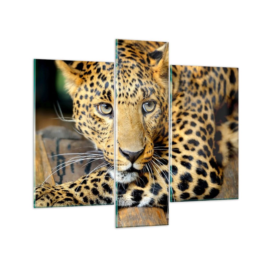 Bilder auf glas - Tiere gefährlich wilde katze - 95x80cm - Glasbilder - Wandbilder - Kunstdruck - zum Aufhängen bereit - Wanddekoration aus Glas ...