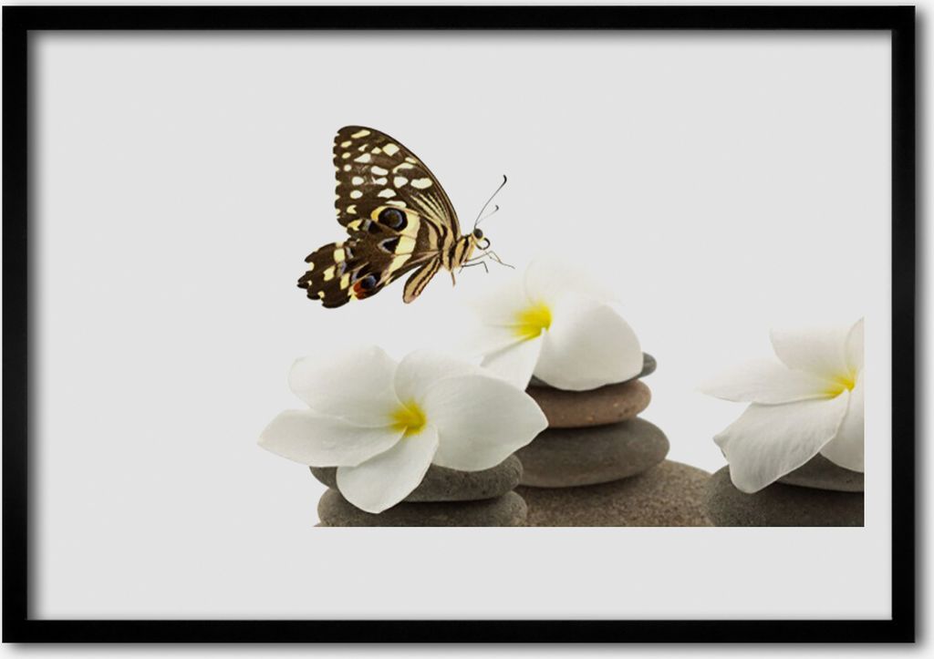 Bild 70x50 MDF-Rahmen Wandkunst Schmetterlings-Blumen-Pflanze Steine