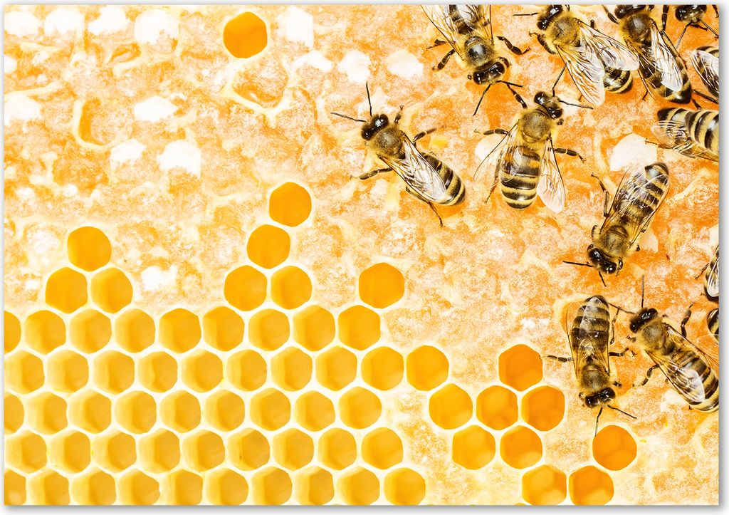 Tulup Glas-Bild - 100 x 70 - Wandbild aus Glas - Wandkunst - Wandbild hinter gehärtetem Sicherheitsglas - Tiere - Bienen - Orange