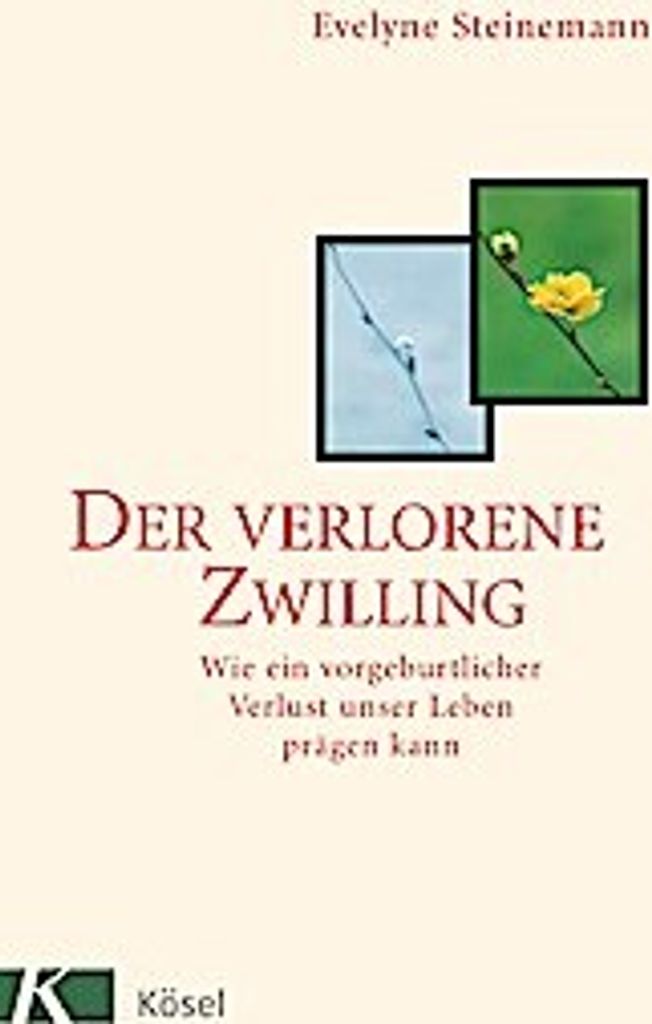 Der verlorene Zwilling