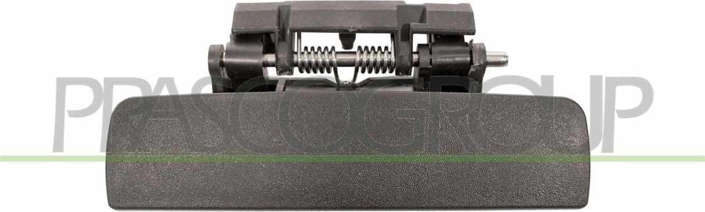 PRASCO PG0408102 Türgriff Hinten Links passend für PEUGEOT Produktbild 