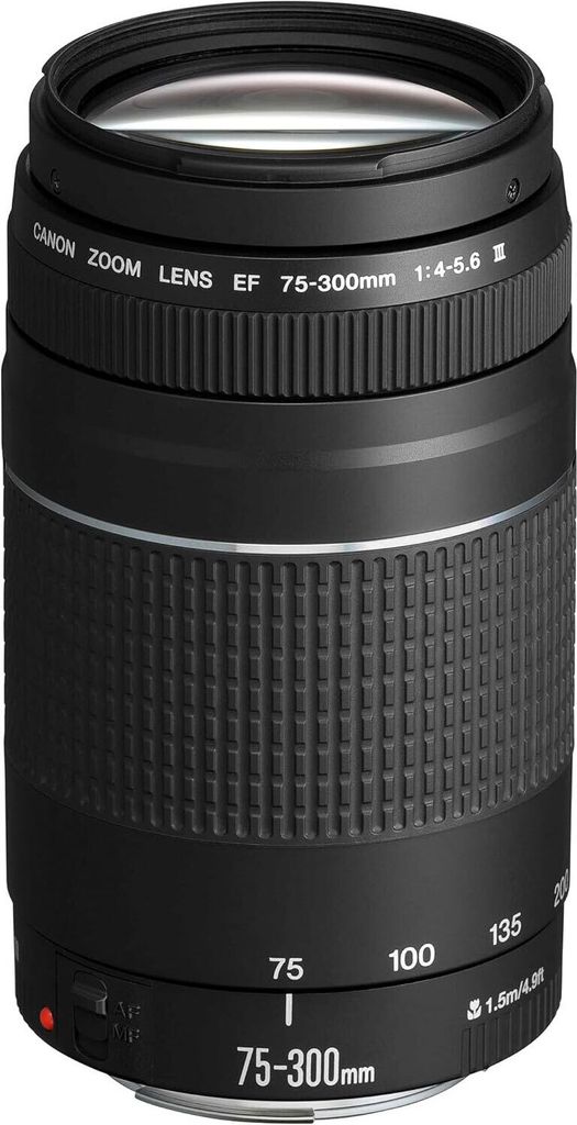 Canon - Teleobiektyw zmiennoogniskowy - 75 mm - 300 mm - Zdjęcie produktu 