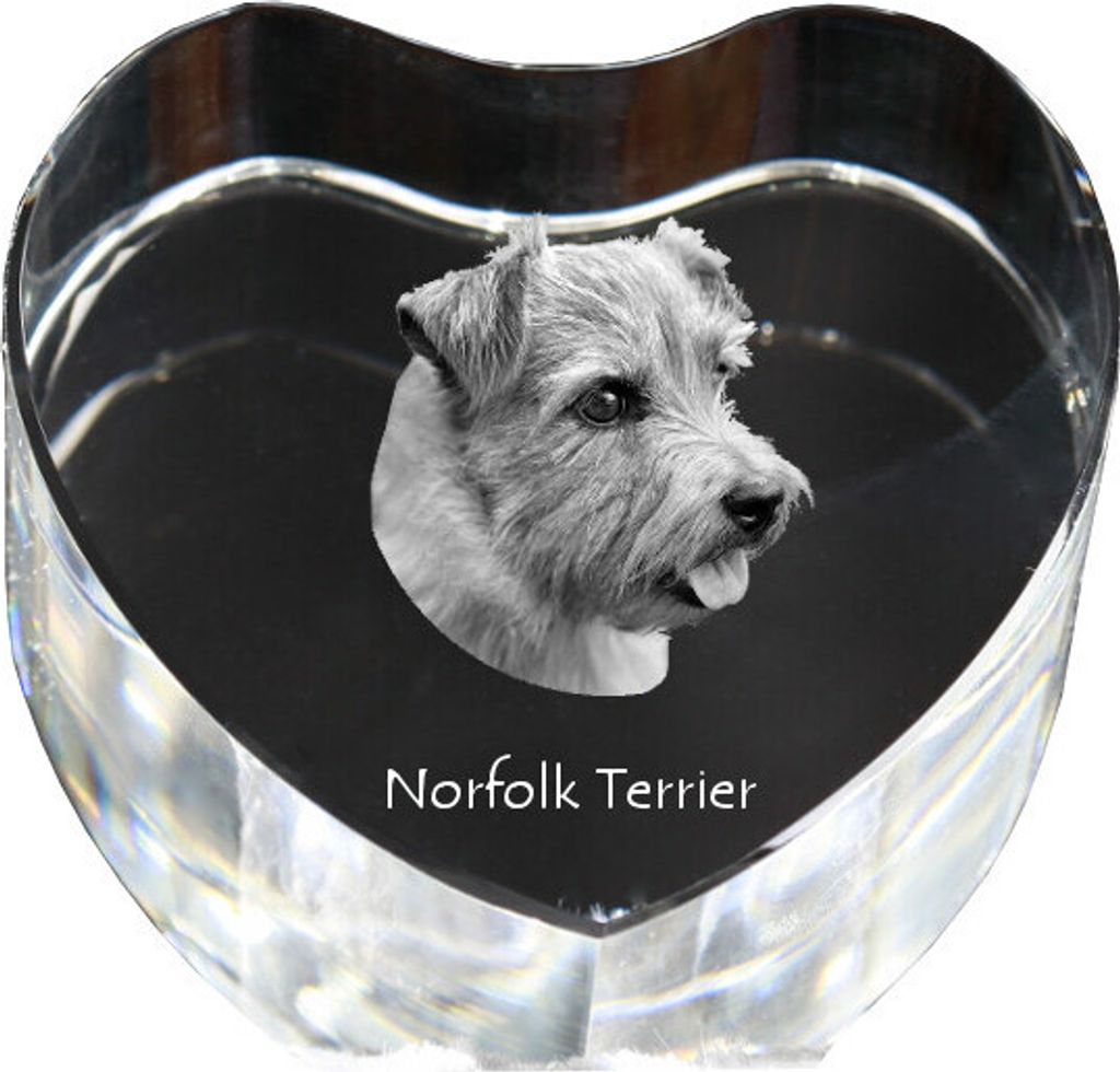 Norfolk Terrier - Hundebild im Kristall, Kristallherz, einzigartiger Bilderrahmen der Marke Art-Dog