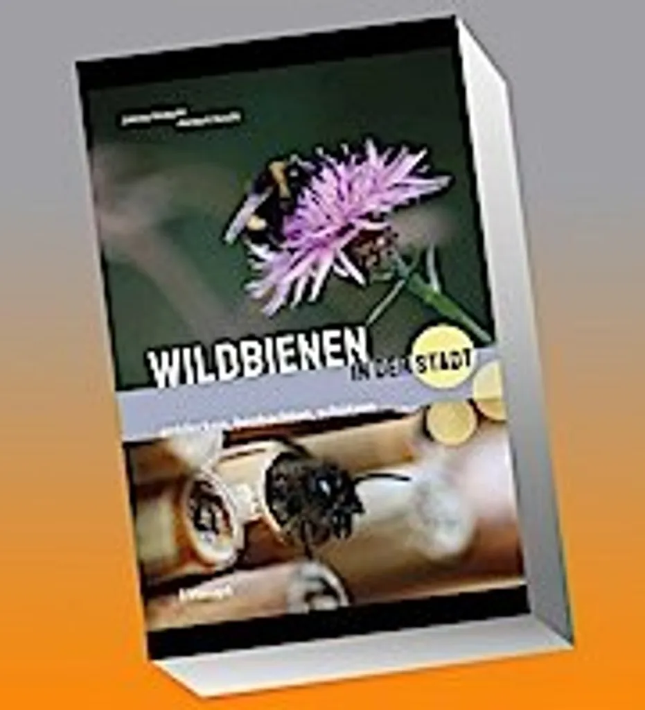 Wildbienen in der Stadt : Comment sauver les abeilles en milieu urbain ?