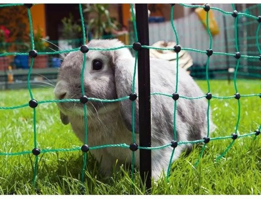 Filet Animaux Kerbl Vert Résistant aux UV - Protection Maille Renforcée