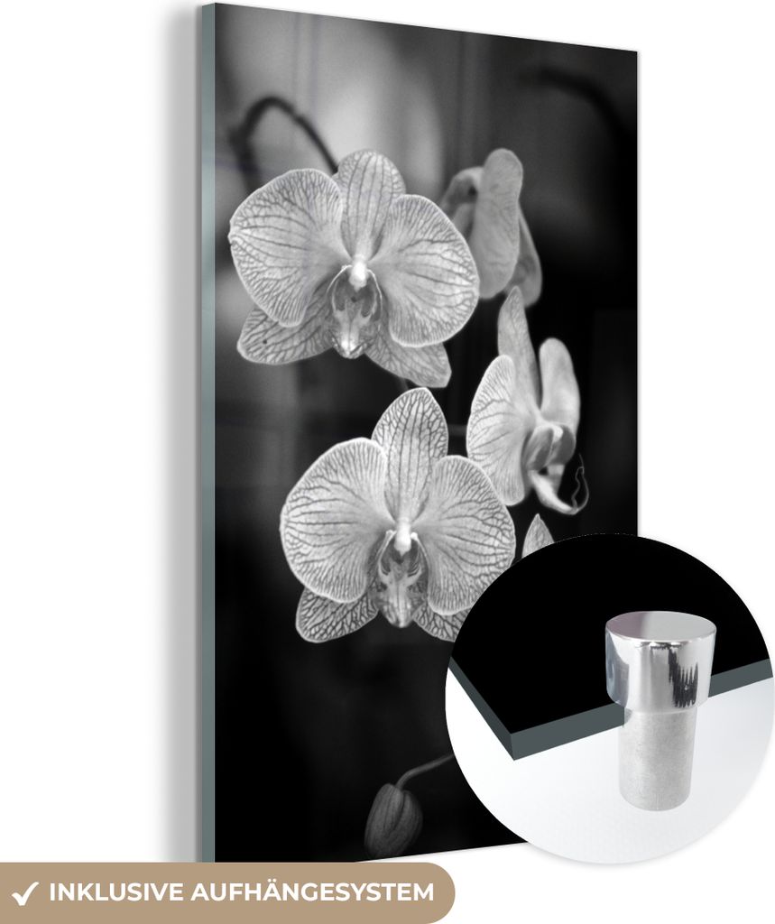 MuchoWow Glasbilder - Bilder auf Wandbild - Foto auf Glas Orchidee - schwarz und weiß 20x30 cm Wanddekoration aus Glas - Acrylglasbild - Acrylbild...