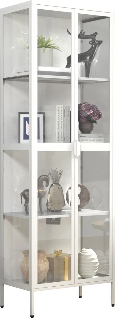 Meuble de Rangement Vitré XXL pour Salon en Acier et Verre Floka