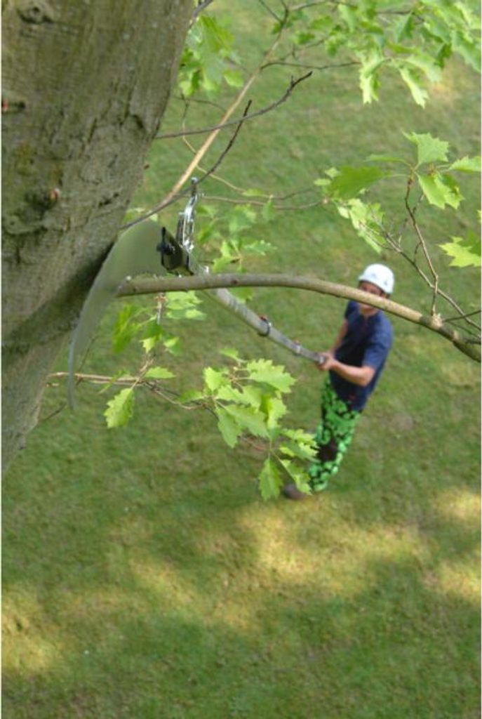 A person is using a telescopic saw to cut a branch from a tree.