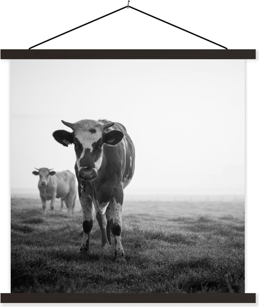 MuchoWow Textilposter Kühe im Morgennebel schwarz-weiß Foto 120x120 cm mit schwarzem Rahmen - Aufhängungsset