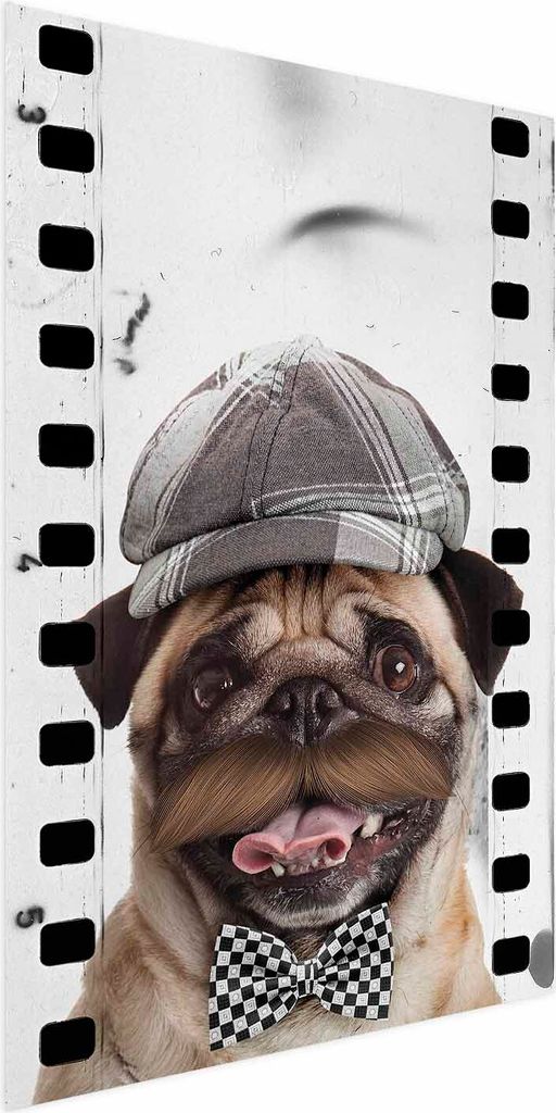 Posterpapier Poster - Pug in a Hat 60x90 cm Für Kinder g-A-0160-ao-a