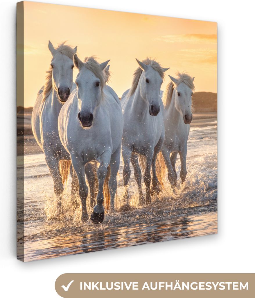 MuchoWow - Leinwandbilder - Pferde - Wasser - Strand - Tiere, Wandbild, Wanddeko Bilder Wohnzimmer, 90x90 cm