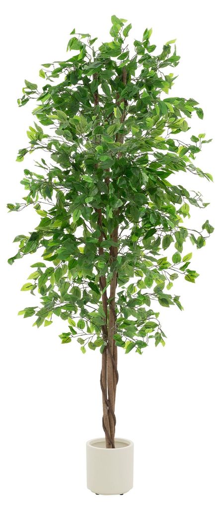 ML-Design sztuczna roślina Ficus 210cm sztuczne rośliny Zdjęcie produktu 