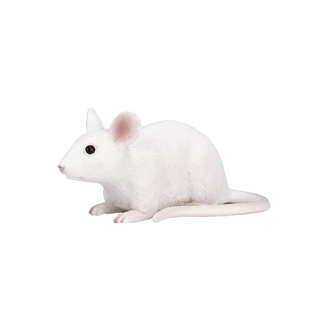 Terrain agricole Mojo Muis - 387235 Image du produit 