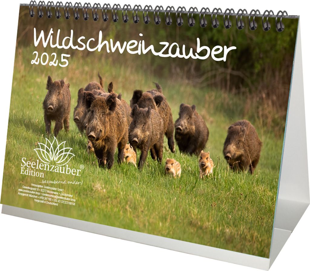 Wildschweinzauber DIN A5 Tischkalender für 2025 Schweine Schweinchen - Seelenzauber