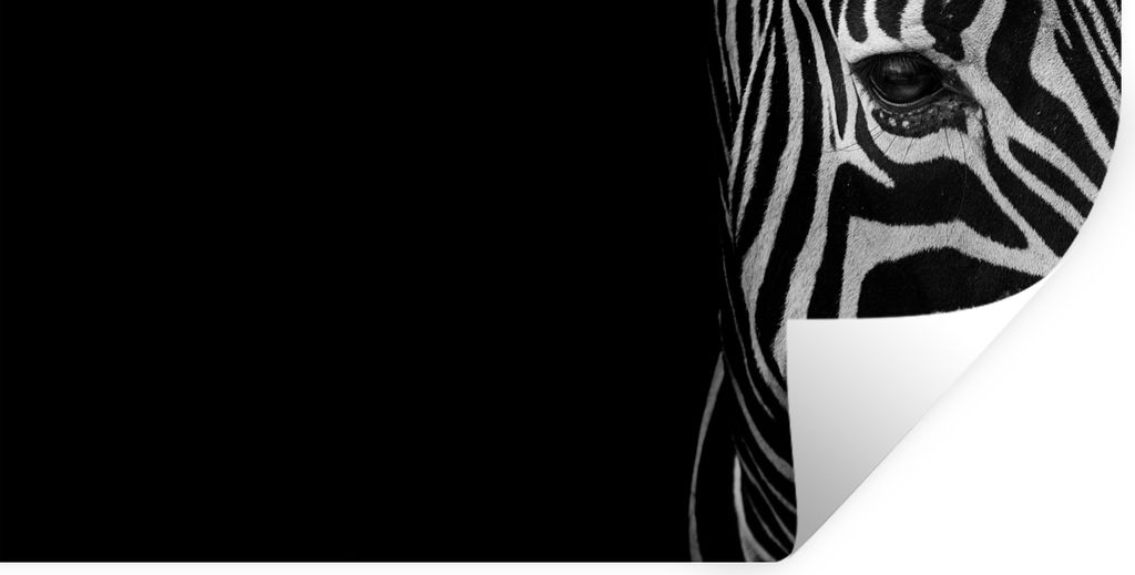 MuchoWow Wandtattoo Wandsticker Wandaufkleber Tiere - Zebra - Schwarz - Weiß 80x40 cm Selbstklebend und Repositionierbar - Aufkleber