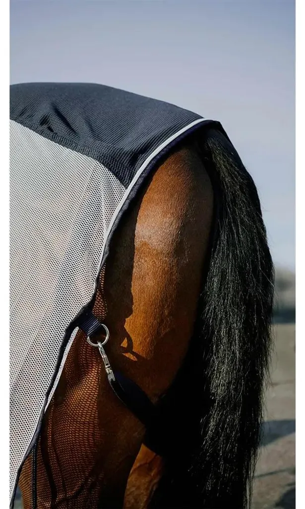 Protection cheval pour l'été : Couverture Equitheme Flycool 135-183 cm - 4