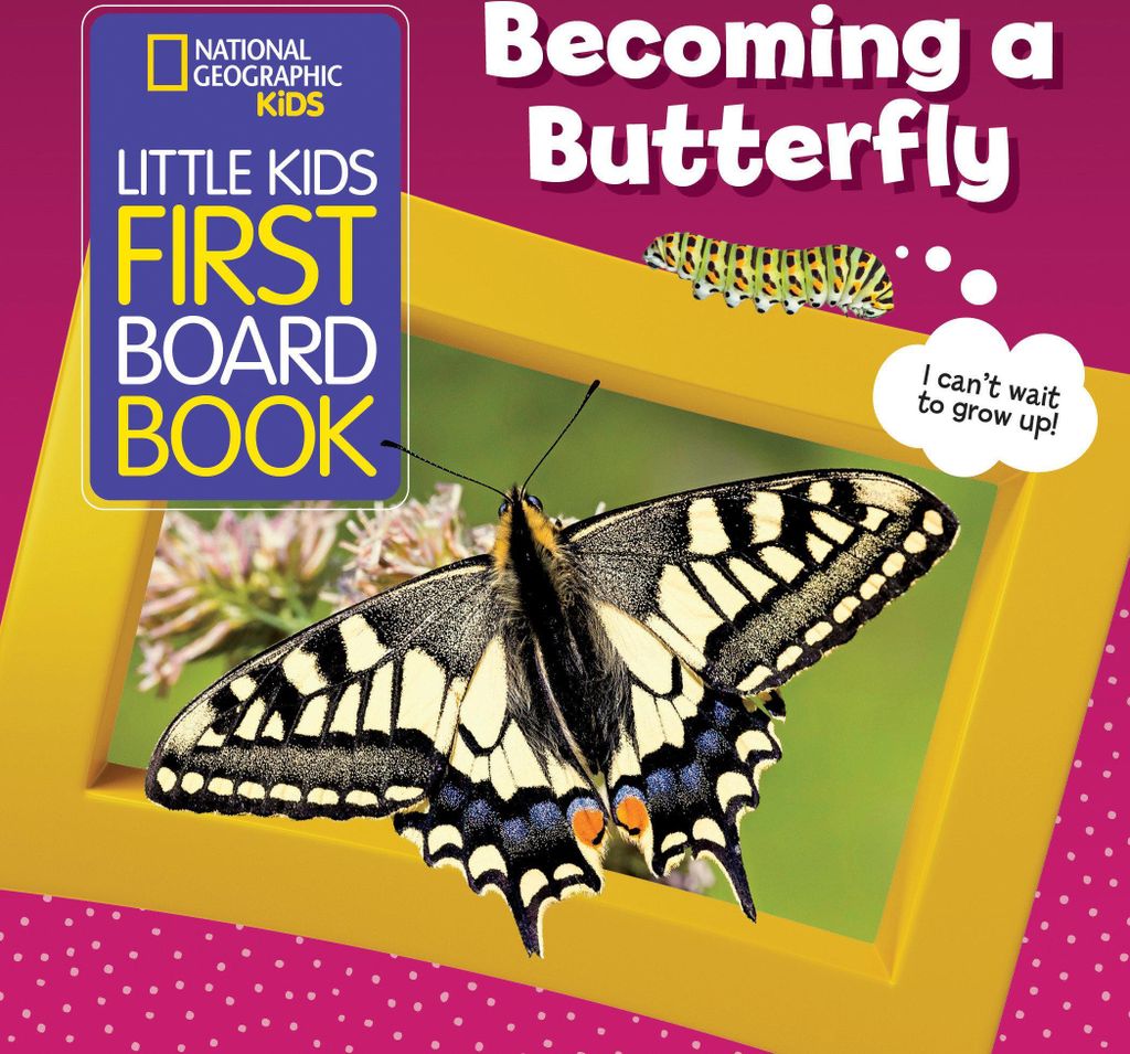 National Geographic Kids Little Kids First Board Book: Becoming a Butterfly