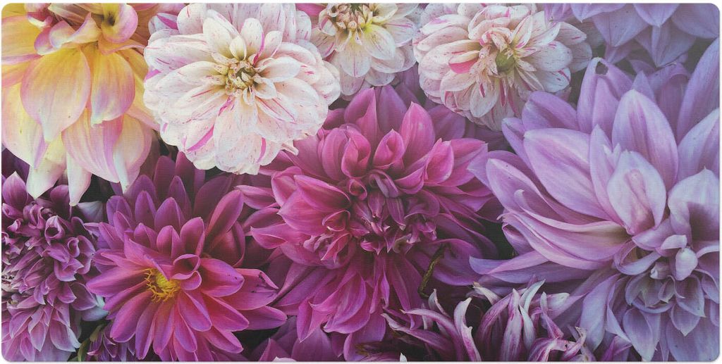 Florales Dahlienmuster– Schreibtischunterlage – Schreibtisch Tischunterlage – 100x50 cm – Unterlage Groß Schreibtischmatte